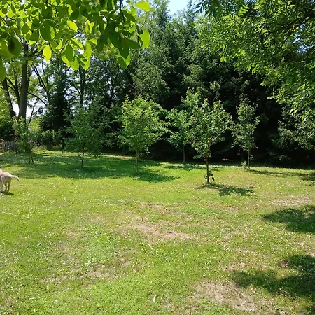 Camper Parking Place Garden Of Eden * Pusztavacs
